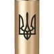 Фото Шариковая ручка Parker Jotter 17 XL UKRAINE Matt Gold CT BP Тризуб 13432_T001b